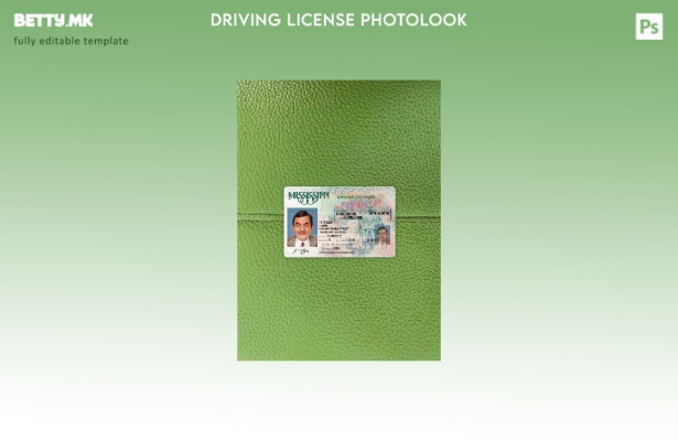 модерен стил USA Mississippi DL photolook FRONT шаблон